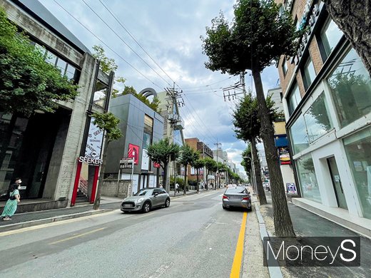 주말임에도 한적한 서울 강남구 신사동 가로수길 양쪽으로 공실이 줄지어 있다. /사진=강수지 기자
