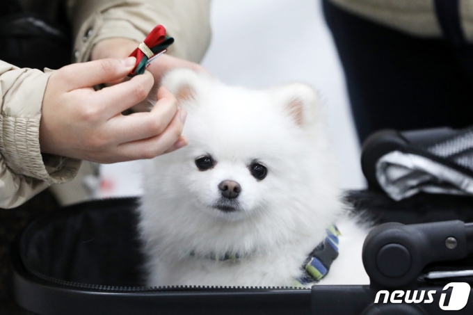 2020.11.27/뉴스1 DB © News1 조태형 기자