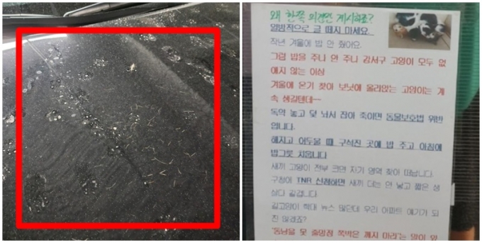 지난 21일 커뮤니티 '보배드림'에 길고양이 때문에 골머리를 앓고 있다는 글이 올라왔다. 사진은 길고양이 때문에 보닛이 훼손된 모습(왼쪽)과 길고양이에 밥을 주는 이들이 엘리베이터에 붙여둔 글(오른쪽). /사진=커뮤니티 캡처