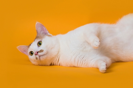 100만년 걸리는 암호해독 10시간 만에 끝낸다… 4차산업혁명의 꽃 '양자'