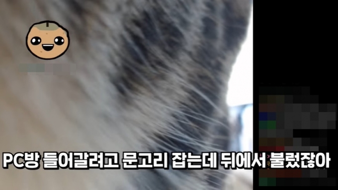 지난 6일 스트리머 '얍얍'이 과거 근무지 이탈을 한 적이 있었다고 말했다. /사진=유튜브 캡처