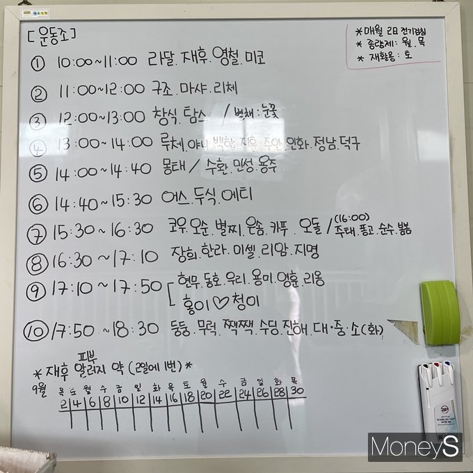 쉼뜰은 유기견들이 뛰어놀 수 있는 시간을 정해 운동을 시켰다. 통상적으로 유기견 3~5마리가 약 40분 동안 바깥 공기를 쐤다. /사진=김동욱 기자