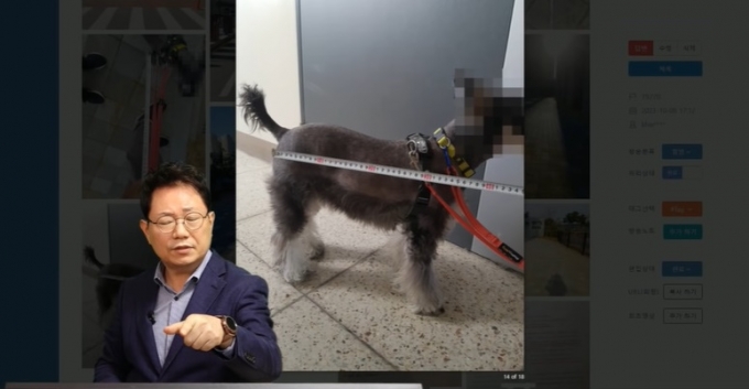 사진은 사고 당일 오토바이 운전자를 보고 짖었다는 강아지. /사진=한문철 TV 캡처