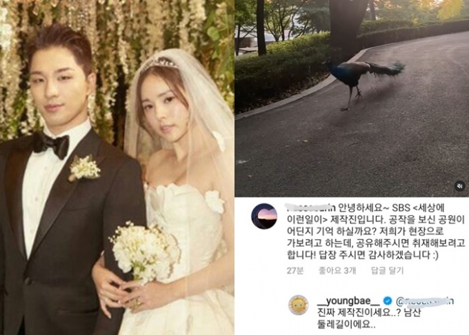 민효린♥' 태양이 올린 SNS, SBS 제작진 소환된 이유 - 머니S 민효린♥' 태양이 올린 Sns, Sbs 제작진 소환된 이유 - 머니S
