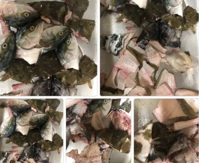 손님이 매운탕거리를 달라고 하자 사장이 생선 머리부위 11개와 매운탕 20인분 치를 줬다. 손님은 "쓰레기를 줬다"며 항의했고 사장은 "어른들은 좋아한다"는 설명을 남겼다. /사진=커뮤니티 캡처