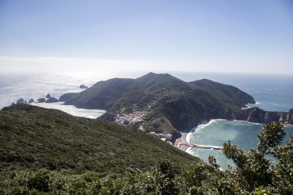 신안 홍도 전경./사진=전남도
