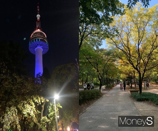같은 코스를 걷는 것에 권태감을 느껴 남산타워나 서울숲 등 다양한 장소를 찾았다. 사진은 남산타워(왼쪽)와 서울숲. /사진=서지은 기자  