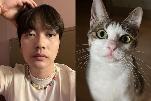 배우 이동휘가 유기묘를 구조해 새 가족으로 맞이했다. /사진=이동휘 인스타그램
