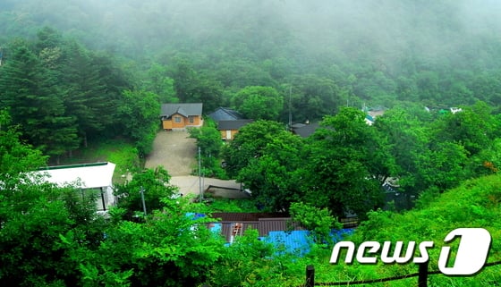 (사진은 기사 내용과 무관함) / 뉴스1 © News1