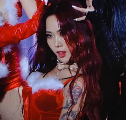 댄서 허니제이가 지난 27일 자신의 인스타그램에 섹시 산타로 변신한 모습을 공개했다. /사진=허니제이 인스타그램