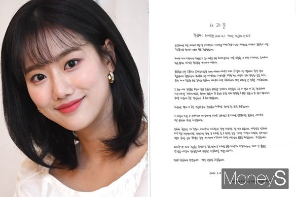 그룹 에이프릴 멤버 이나은에게 초등학교 재학 시절 학교 폭력 피해를 당했다고 주장한 네티즌 A씨가 허위사실 유포를 시인했다. /사진=장동규 기자, DSP미디어 공식 홈페이지