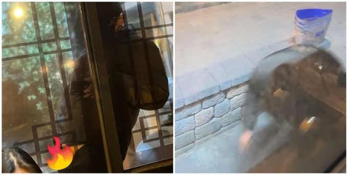 최근 충북 청주시 한 술집에서 신체 부위를 노출한 남성이 있다는 제보가 올라왔다. 사진은 신체를 노출한 뒤 도망가는 남성을 찍은 모습. /사진=페이스북 페이지 '청주페이스북' 캡처