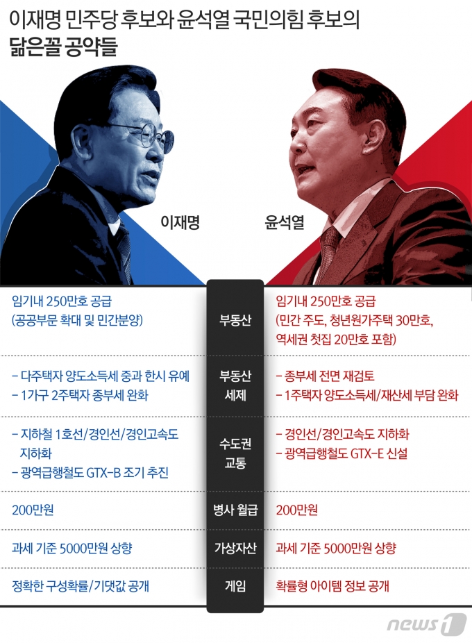 © News1 최수아 디자이너