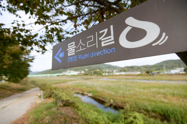 신종 코로나바이러스 감염증(코로나19) 사태 장기화로 밀집된 실내활동이 어려워지자 ‘양평 물소리길’을 찾는 도보여행객이 늘어나고 있다. 양평 물소리길은 남한강과 북한강의 맑은 물소리와 자연의 소리를 느낄 수 있는 걷는 여행길로 중앙선 전철 역과 역을 연결해 외부 방문객들이 이용하기 쉽도록 코스를 개발했으며, 시골마을의 골목골목을 여행하며 아늑한 옛 고향의 따스함과 여유로움을 느낄 수 있도록 조성했다. / 사진제공=양평군