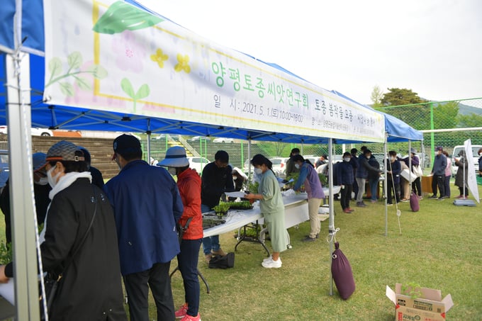 양평군이 양평토종씨앗연구회 주최로 양평군농업기술센터 운동장에서 토종 봄작물 모종과 씨앗나눔 행사를 진행하고 있다. / 사진제공=양평군