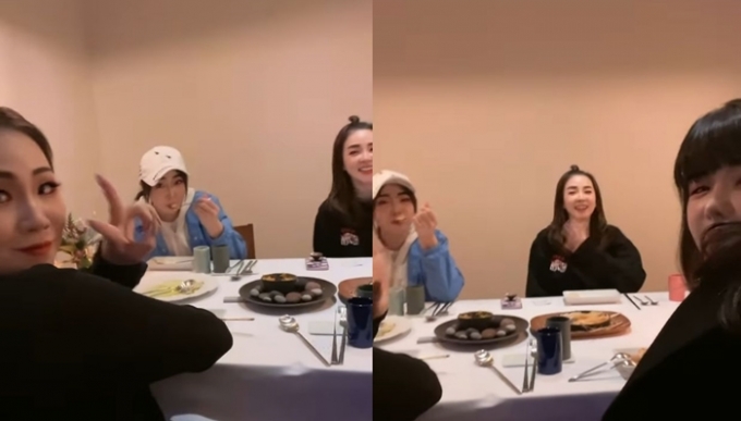 박봄의 솔로 신곡 '꽃' 발표를 놓고 투애니원(2NE1) 멤버들이 아낌없는 응원을 보였다. /사진=박봄 인스타그램 캡처