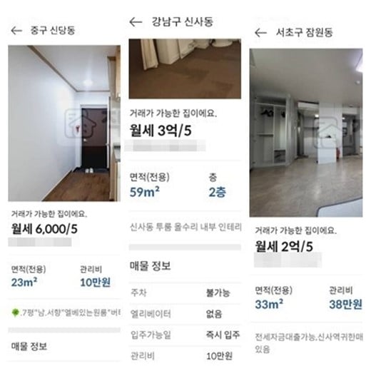 월세보다 관리비가 비싼 세금 회피성 매물들이 부동산 플랫폼에 등장하고 있다. /사진=부동산 중개 플랫폼  