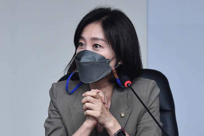 허은아 국민의힘 수석대변인이 민주당의 '검수완박'을 비판했다. / 사진=뉴스1