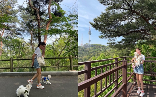 배우 고소영은 23일 인스타그램에 "얼마 만인가. 반가운 남산 산책"이라는 짧은 글과 함께 반려견과 산책하는 장면이 담긴 사진을 게재했다. /사진=고소영 인스타그램