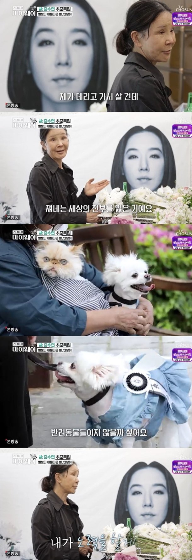 배우 이용녀가 강수연의 반려동물을 키우기로 했다고 밝혔다. /사진='마이웨이' 방송캡처