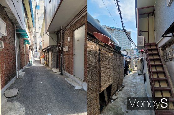 골목 사이로 주택들이 보인다.(왼쪽)  갈대발을 설치한 집이 보인다.(오른쪽) /사진=신유진 기자