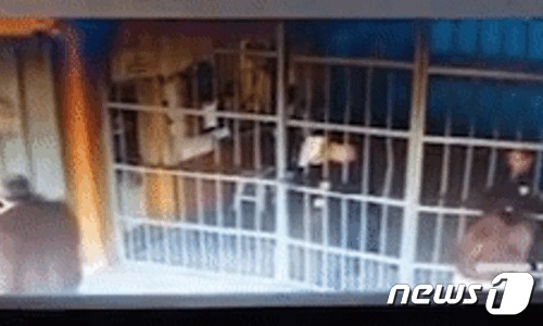 (페이스북 갈무리) © 뉴스1