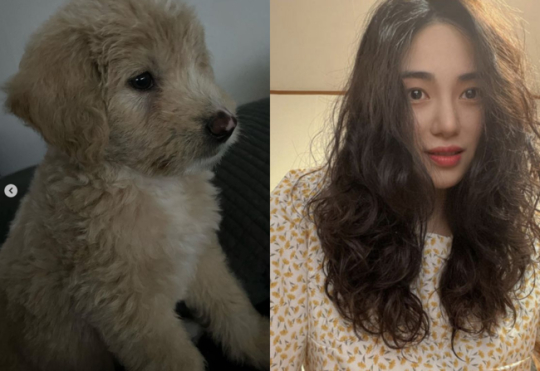 AOA 출신 권민아가 SNS를 재개, 두 달 만에 근황을 전했다. /사진=권민아 인스타그램