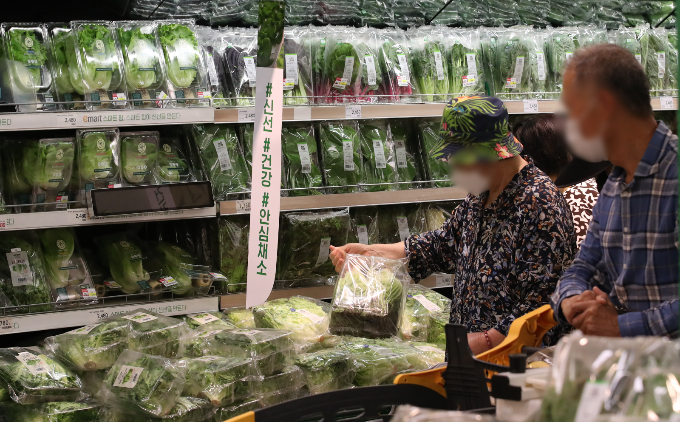 공정거래위원회가 주요 규제개선 과제 중 하나로 대형마트 의무휴업일 온라인 배송 금지 등을 규제개선 과제로 선정했다. 서울의 한 대형마트에서 시민들이 상품을 살펴보고 있다./사진=뉴스1