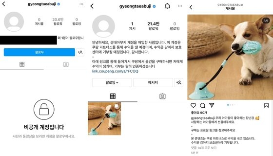 새 계정주로 추정되는 인물이 '경태아부지' 계정에 작성한 글들. /사진=인스타그램 갈무리