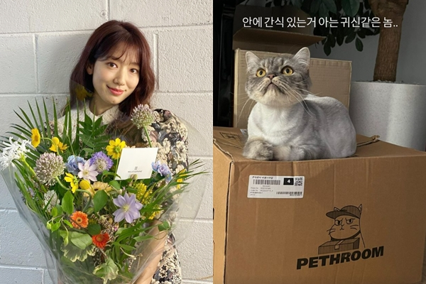 배우 박신혜가 근황을 전했다. /사진=박신혜 인스타그램