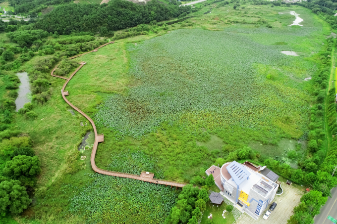 경남  합천군 정양늪 전경./사진=경남도 제공