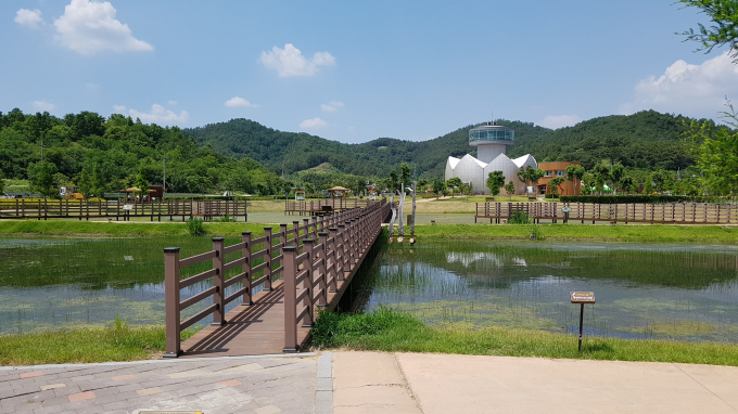 경남 창녕군 우포늪 전경./사진=경남도 제공