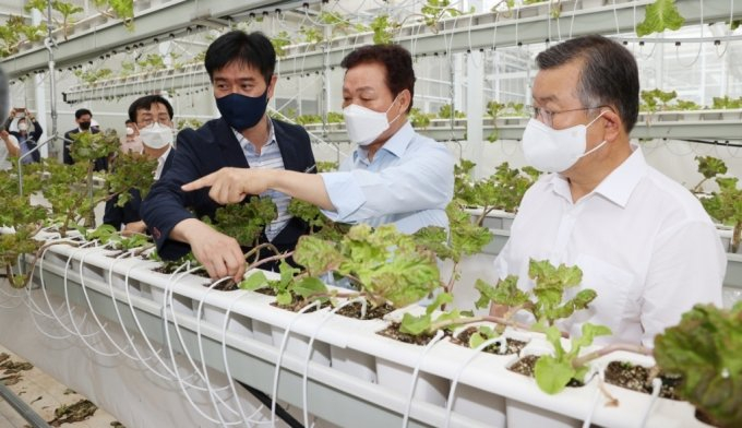 지난 21일 박완수 경남지사(오른쪽 2번째)와 박일호 밀양시장(오른쪽)이 경남 스마트팜 혁신밸리의 실습온실을 점검하고 있다./사진=경남도 제공