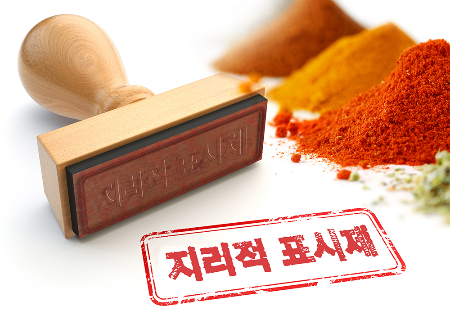 한국산 김치를 세계에서 인정받기 위한 국가명 지리적 표시제를 두고 논란이 일고 있다. /그래픽=김은옥 기자