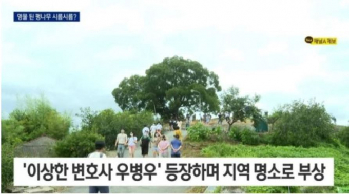 채널 A가 뉴스 보도 도중 자막 실수를 해 화제를 불러모으고 있다. 사진은 지난달 31일 송출된 채널A의 뉴스 자막 모습. /사진=채널A 캡처