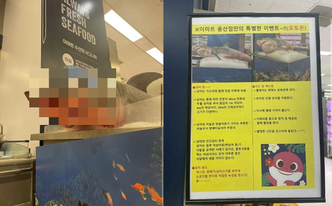 투피스돈까스 이미지