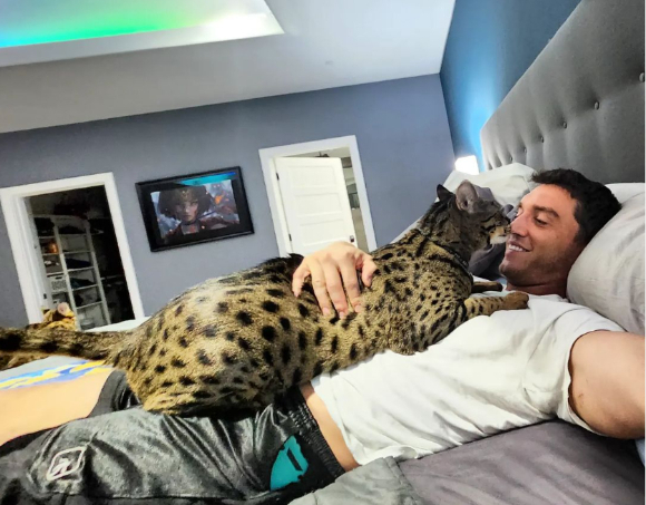 기네스북에 등재된 최장신 고양이./사진=starcats_detroit 인스타그램 캡처