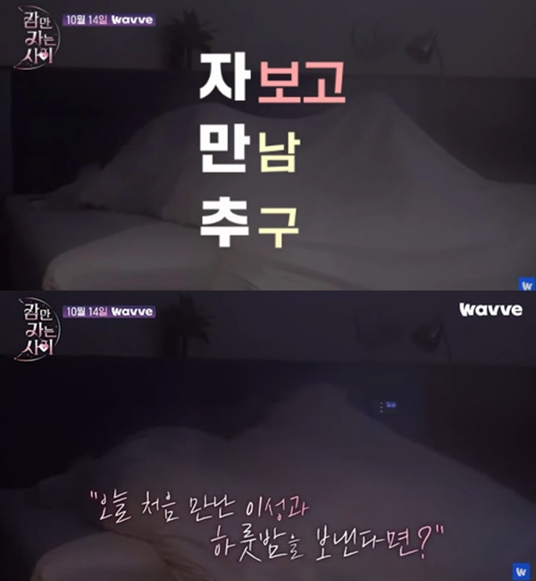 선 넘은 선정성을 강조하는 연애 리얼리티 프로그램에 누리꾼이 불편한 기색을 드러냈다. /사진=국내 스트리밍 서비스 웨이브(Wavve)