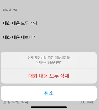 각 채팅방에서 '대화 내용을 모두 삭제'를 누르면 저장공간 확보가 가능하다. /사진=송은정 기자