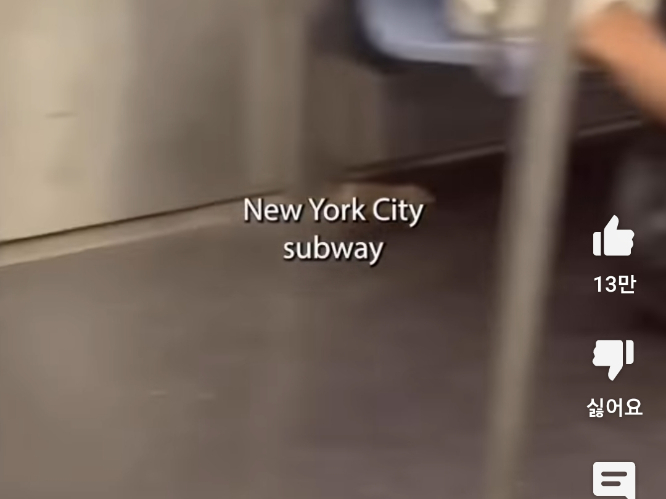한 미국 매체가 미국 뉴욕 지하철은 쥐가 돌아다니는 것에 반해 서울의 지하철은 쾌적하다며 극찬했다. 사진은 유튜버 J&K Lovett이 올린 영상 캡처. /사진=유튜브 갈무리