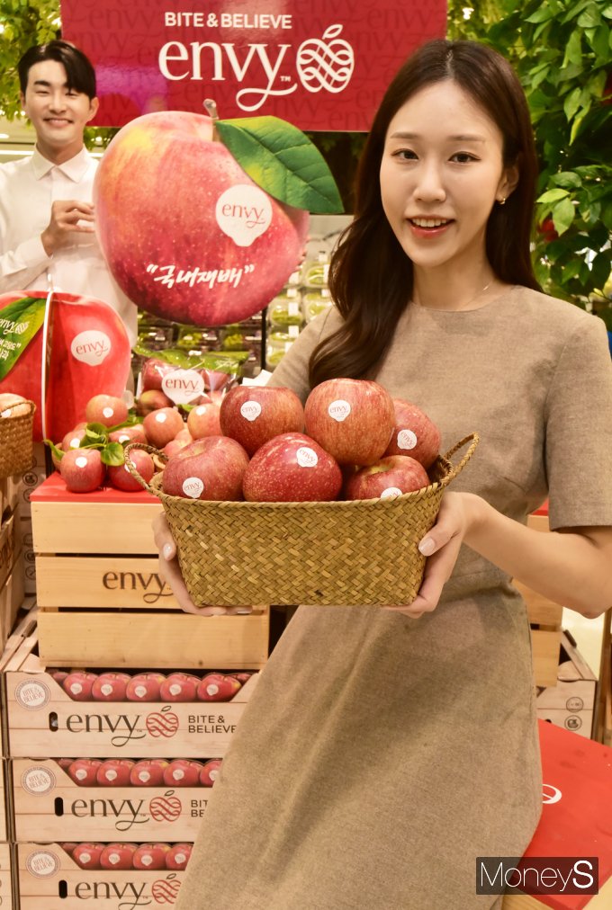 [머니S포토] 신품종 '엔비사과' 아시아 독점 생산·판매 진행