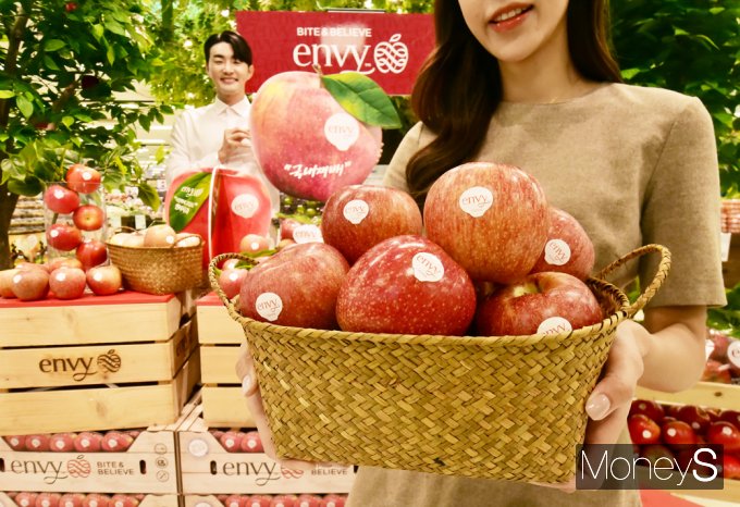[머니S포토] 신품종 '엔비사과' 아시아 독점 생산·판매 진행