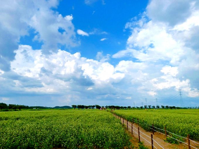  대부바다향기테마파크. / 사진제공=안산시 