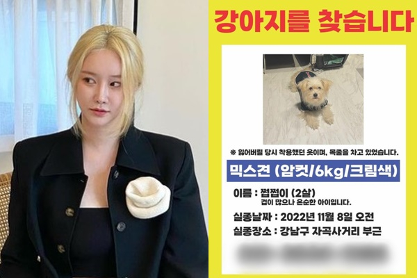 브레이브걸스 민영이 입양한 반려견을 잃어버렸다. /사진=민영 인스타그램