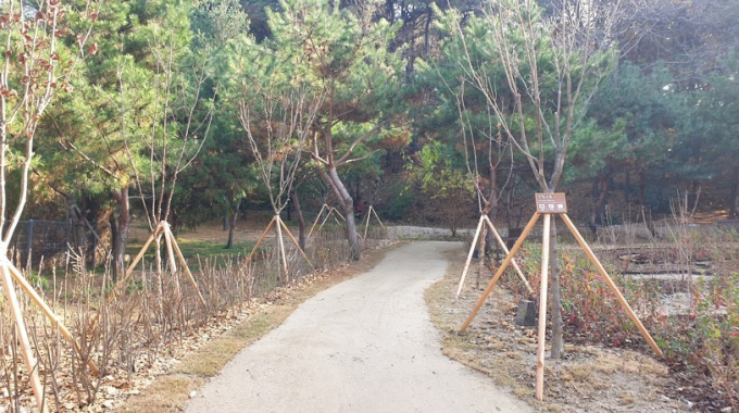 숙지공원 일부가 생태숲으로 준공된 모습. / 사진제공=수원특례시