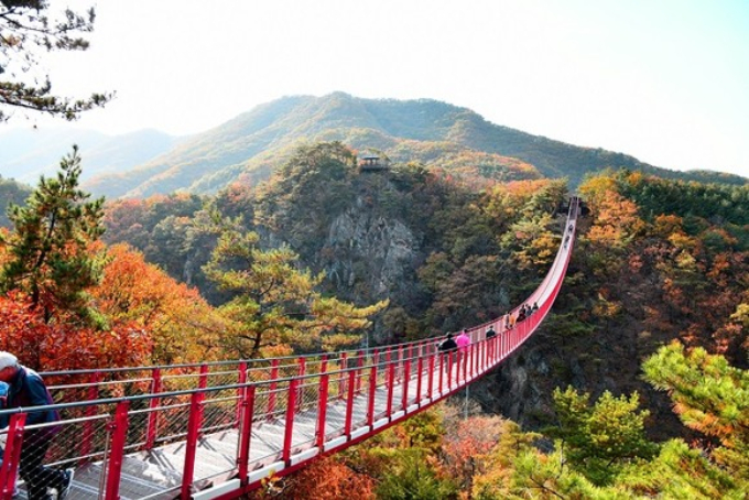 감악산 국립 자연휴양림의 출렁다리 모습. / 사진제공=파주시