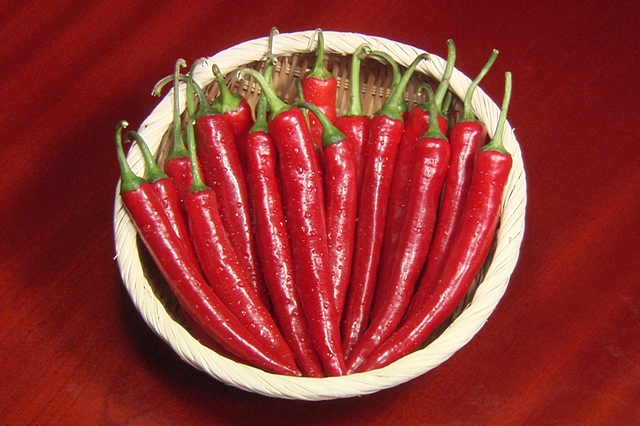 청송고추/사진제공=경북 청송군