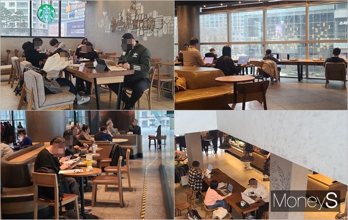 카페에서 공부하는 '카공족'으로 인해 카페 업주들이 속앓이를 하고 있다. 사진은 서울 종로구·경기 고양시 등에 위치한 카페에서 공부하는 카공족의 모습. /사진=서진주 기자