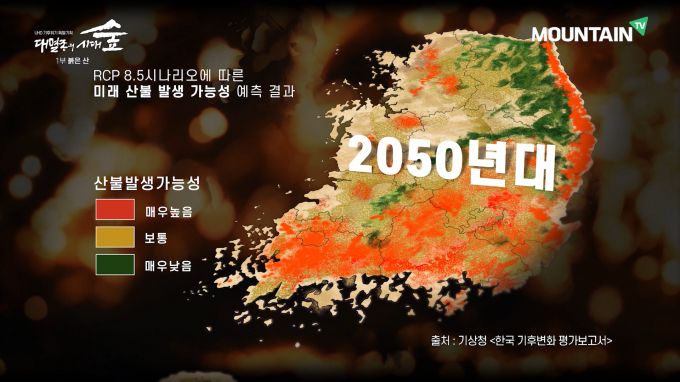 /사진=마운틴TV