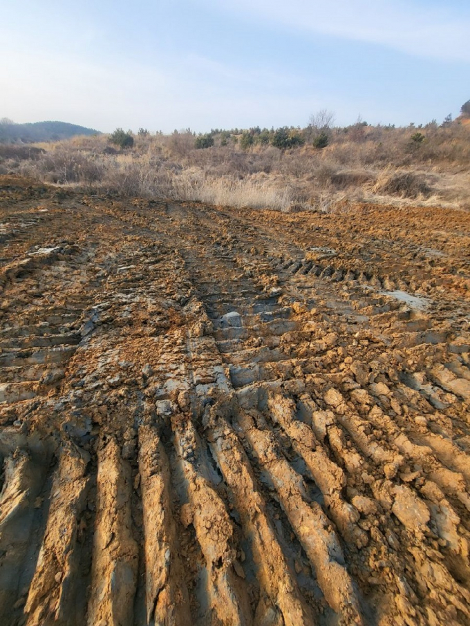 인천시 중구 운서동 1658-6번지 일대 영종하늘도시 유보지 현장에 불량한 흙을 반입한 모습./사진=장선영기자